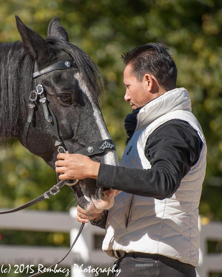 12391996_1223991454282794_1084299048987183058_n